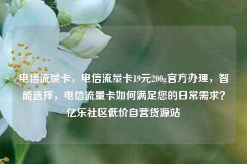 电信流量卡	，电信流量卡19元200g官方办理，智能选择，电信流量卡如何满足您的日常需求？亿乐社区低价自营货源站  第1张